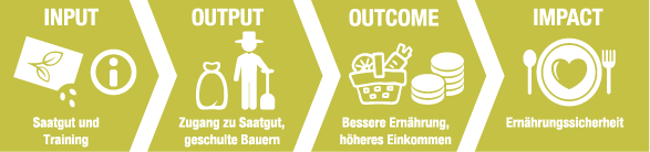 Wirkungskette Ernährung (Grafik)