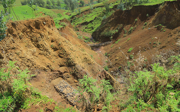 Tiefe Erosionsgr&auml;ben pr&auml;gen die Landschaft von Jeldu (Foto)